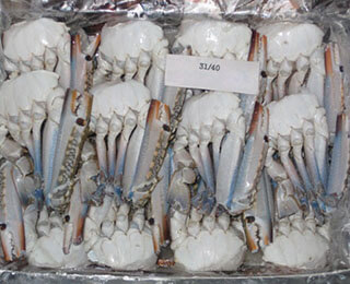 Cut Crab-packing