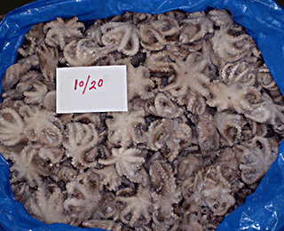 Whole Round Octopus-packing