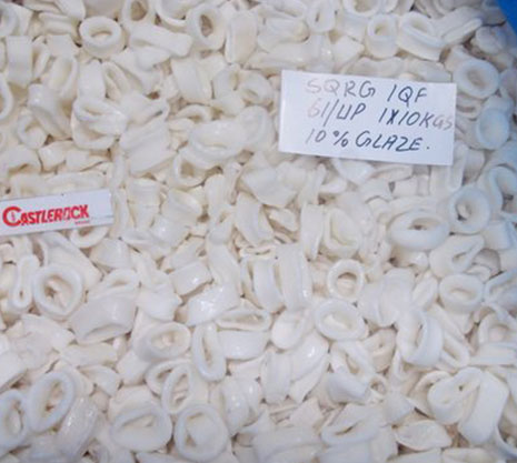 Whole Round Squid-packing